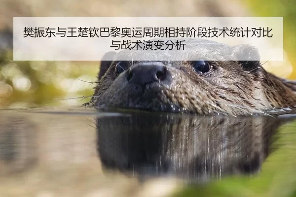 樊振东与王楚钦巴黎奥运周期相持阶段技术统计对比与战术演变分析