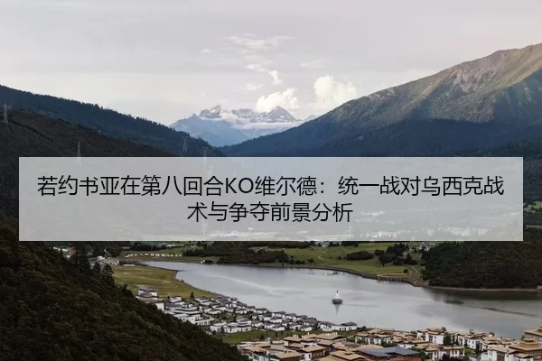 若约书亚在第八回合KO维尔德：统一战对乌西克战术与争夺前景分析