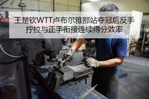 王楚钦WTT卢布尔雅那站夺冠后反手拧拉与正手衔接连续得分效率